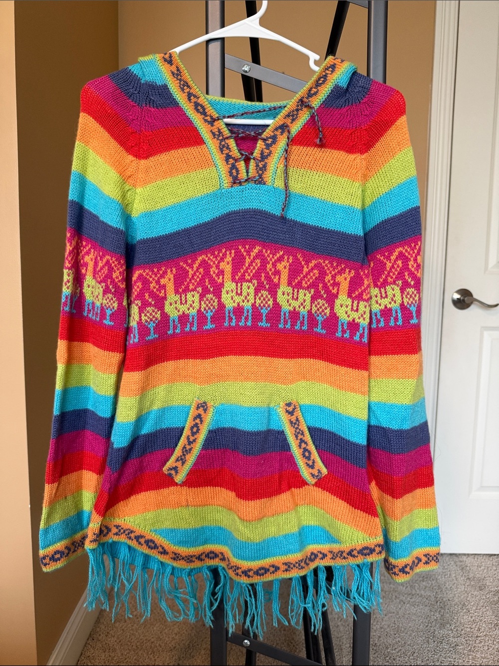 Women's Bright Rainbow Hooded Sweater